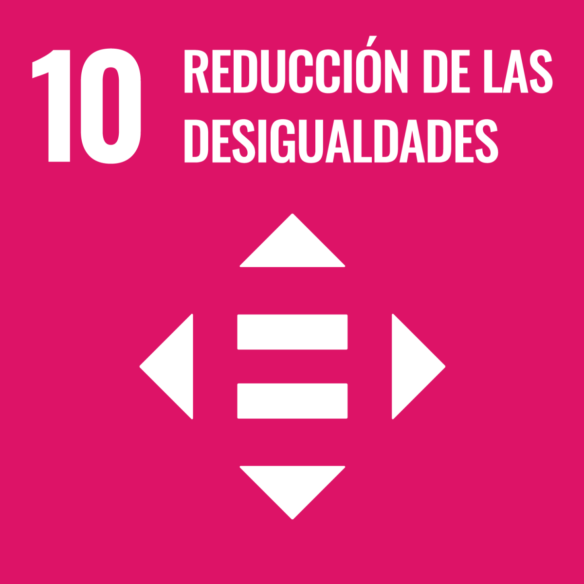 10 reduccion desigualdad ods