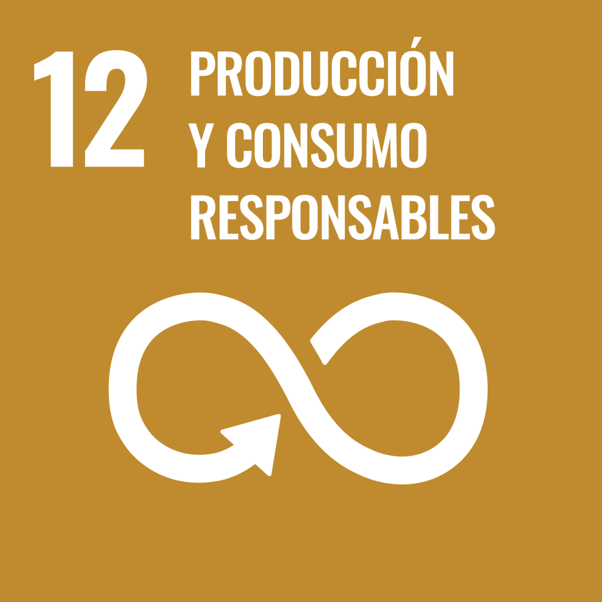 12 produccion consumo responsable