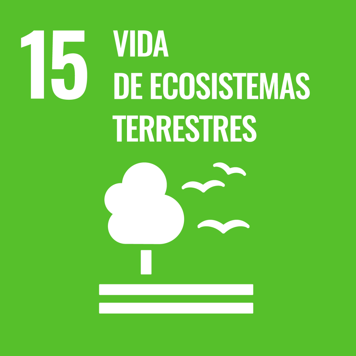 15 vida ecosistemas terrestres