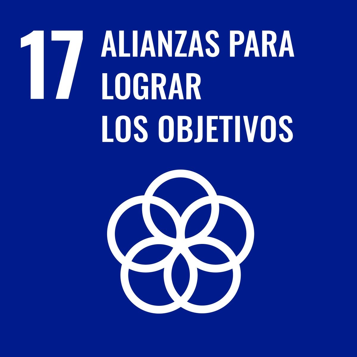 17 aliazas logro objetivos ods