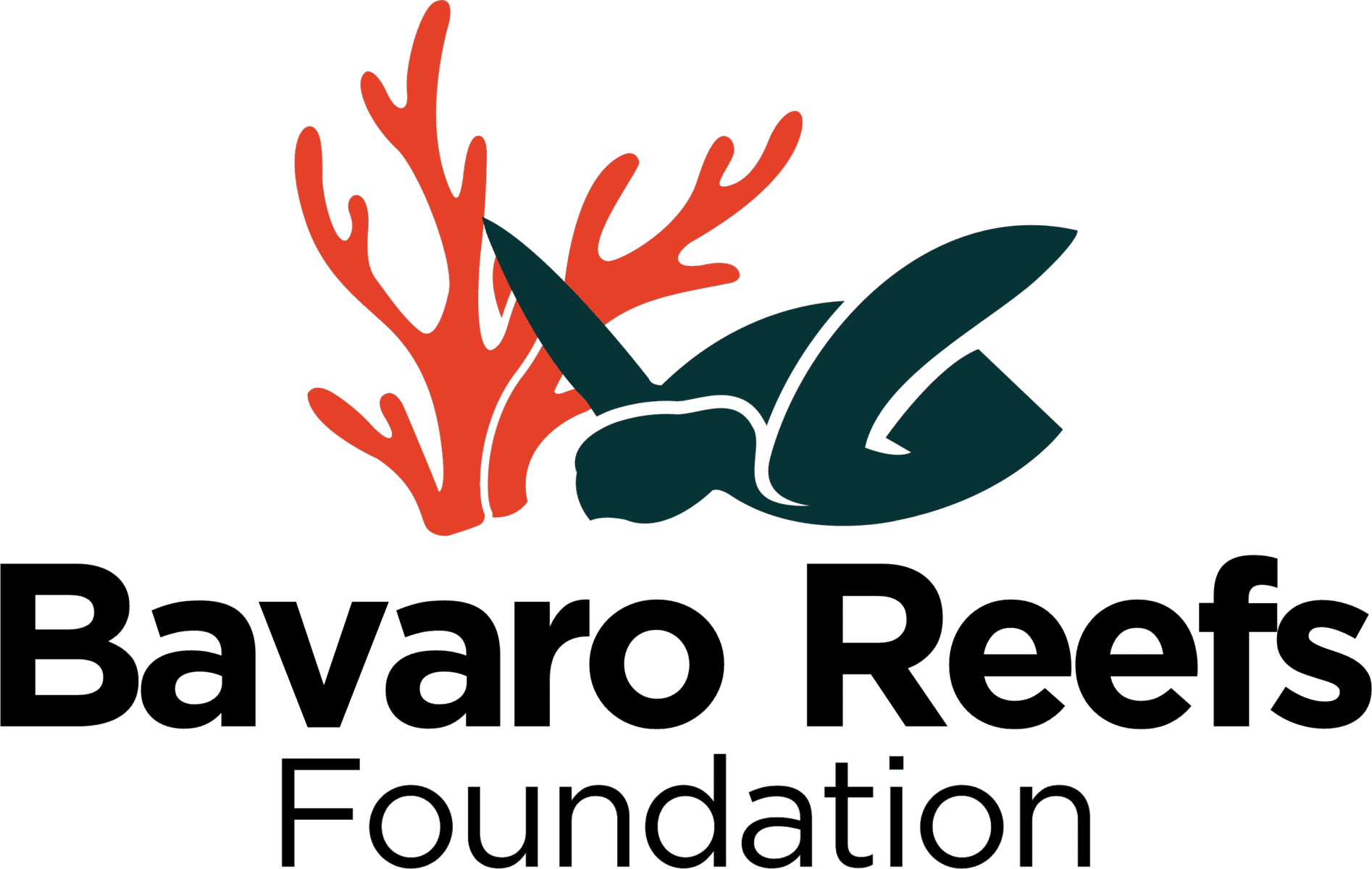 Bavaro Reefs Foundation.png