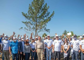 Grupo M CODEVI siembra más de 10,000 pinos en la provincia de Dajabón