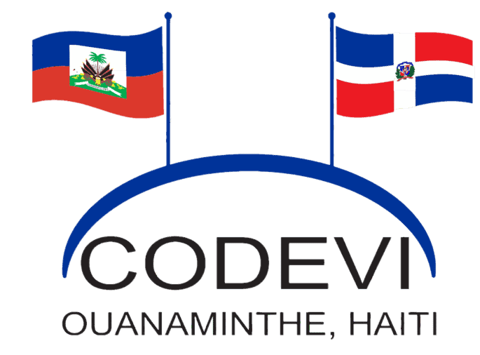CODEVI Logo.png