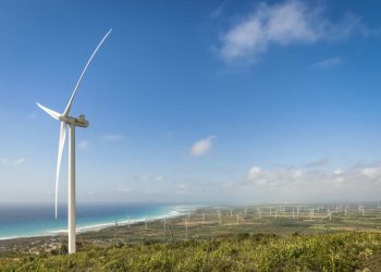 Colocan con éxito primer tramo del fideicomiso verde Larimar