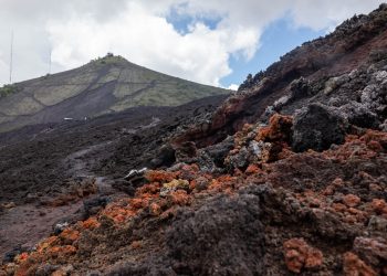 Festival de arte contemporáneo llega a Santo Domingo