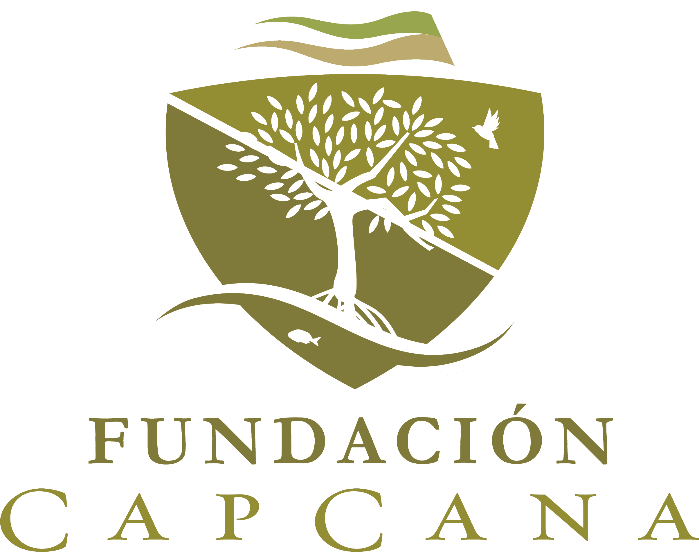 Fundacion Cap Cana.png
