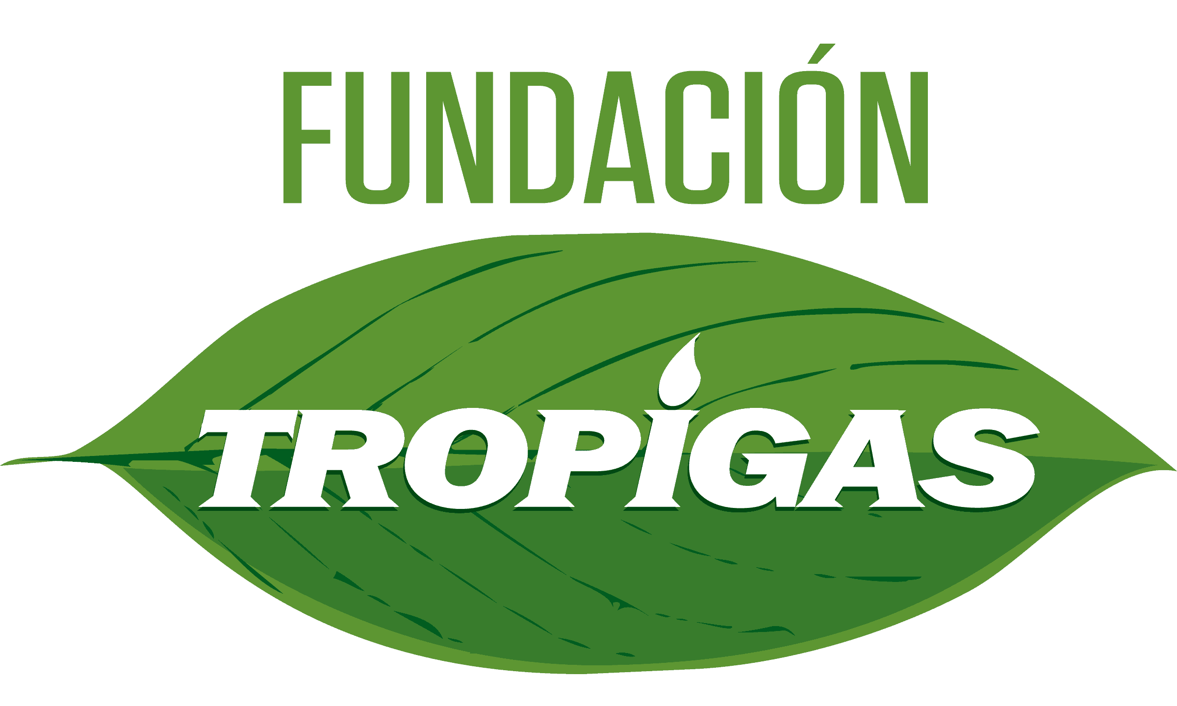 Fundacion Tropigas.png