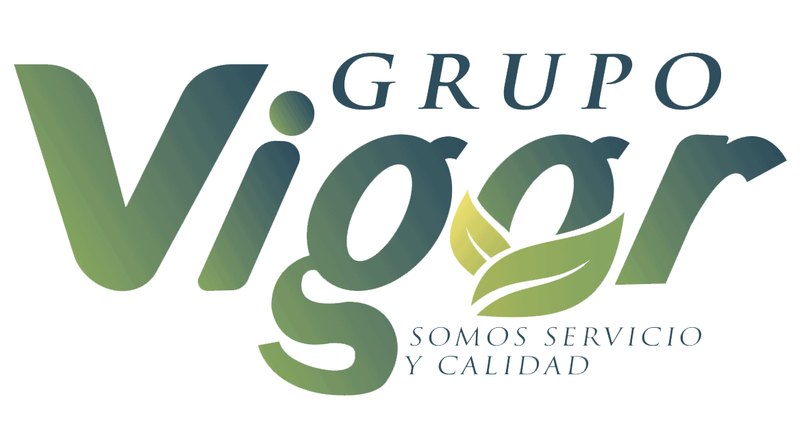 Grupo Vigor Logo.png