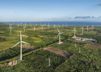 EGE Haina realiza mantenimiento general en el parque eólico Los Cocos