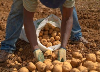 Inauguran expansión de la Planta Caribe de Pepsico