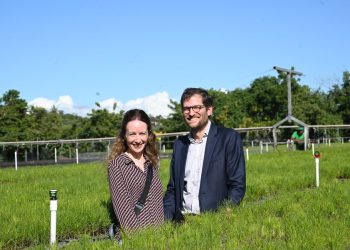 Agencia Francesa de Desarrollo conoce los avances del Plan Sierra