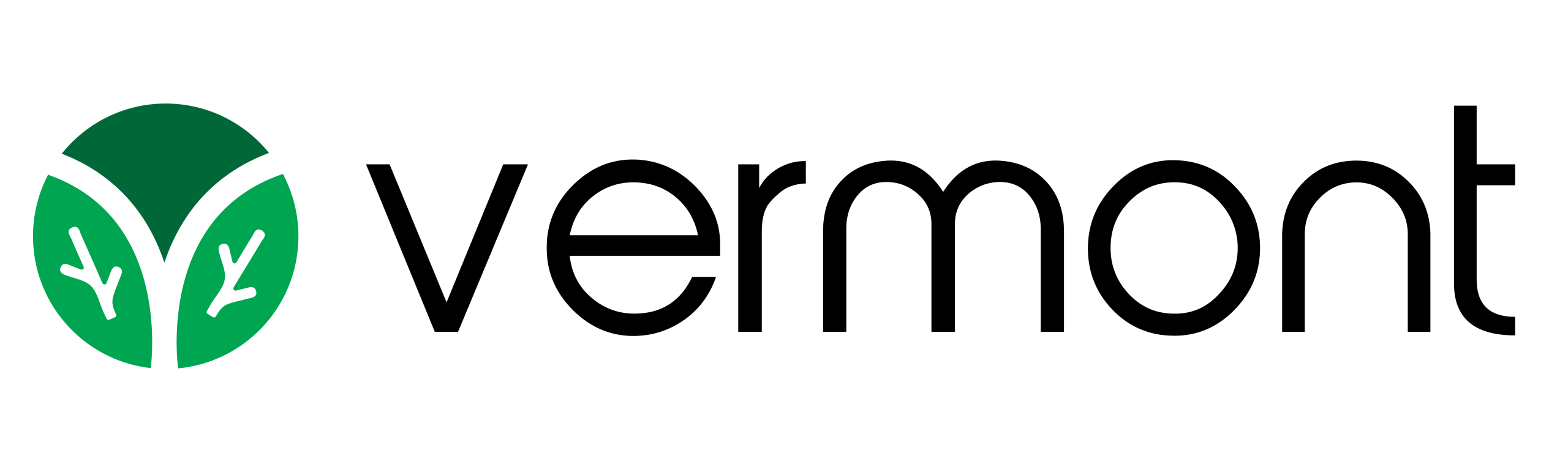 Vermont Logo scaled.png